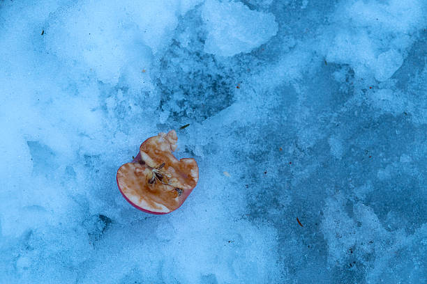 maçã - rotting apple fruit missing bite - fotografias e filmes do acervo