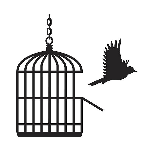 ptak latający z otwarta klatka dla ptaków-wektor - birdcage stock illustrations