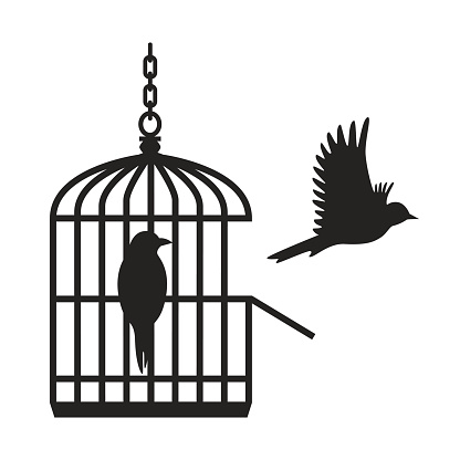 Birds in open birdcage - VECTOR