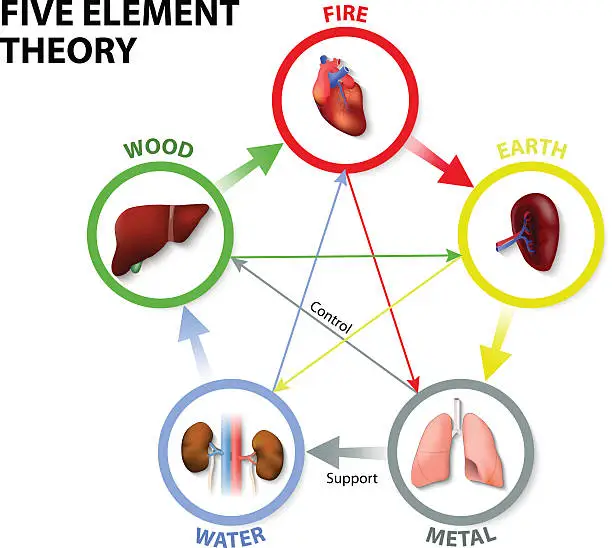 Vector illustration of Five Element Theory