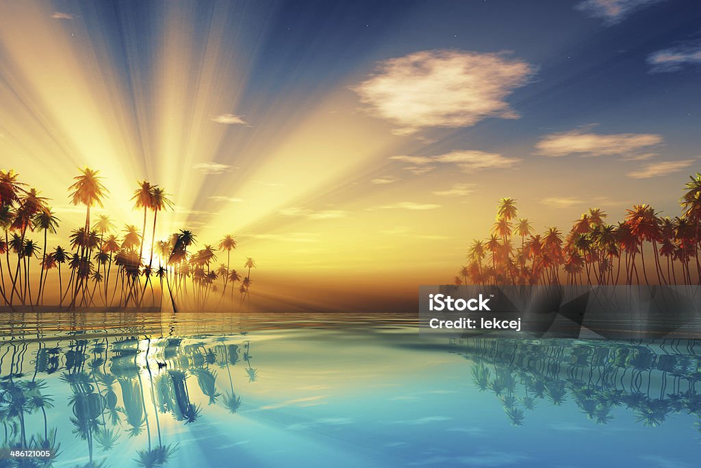 sun rays dentro de cocoteros - Foto de stock de Playa libre de derechos