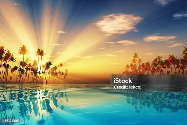 Sun Rays Dentro De Cocoteros Foto de stock y más banco de imágenes de Playa - Playa, Puesta de sol, Islas de Hawái