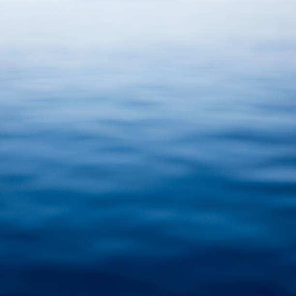 istock Blue defocused sea background with blurry waves 486126024