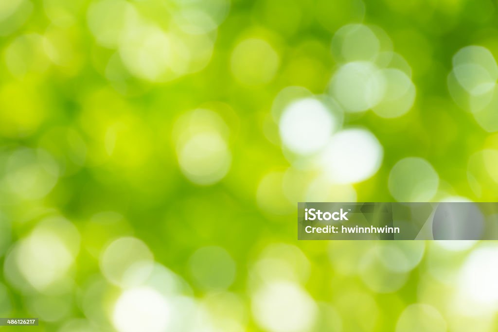 bright green and white blur bokeh abstract light background Bright green and white blur bokeh abstract light background Abstract Stock Photo