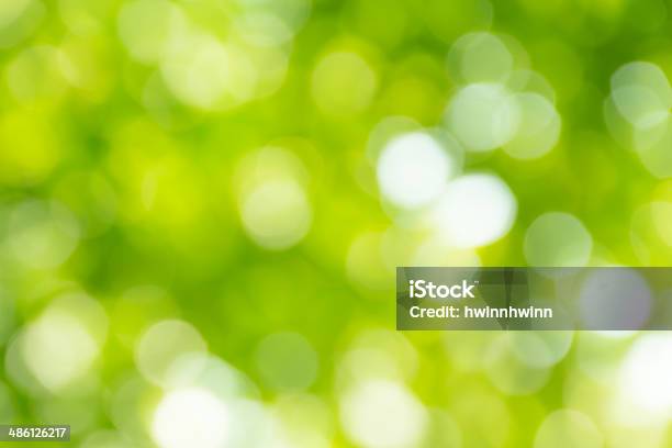 Bright Green And White Blur Bokeh Abstract Light Background Stock Photo - Download Image Now