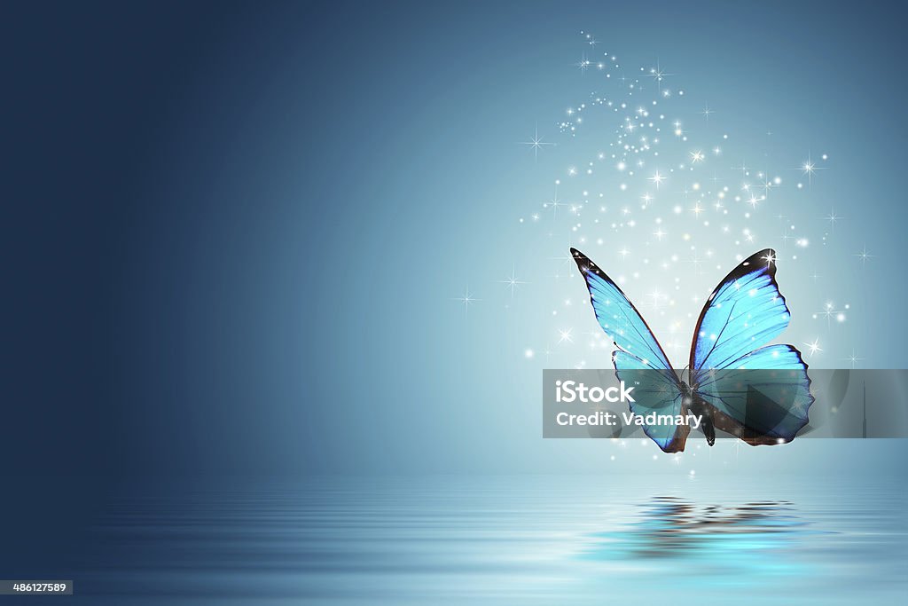 Mariposa - Foto de stock de Mariposa - Lepidópteros libre de derechos