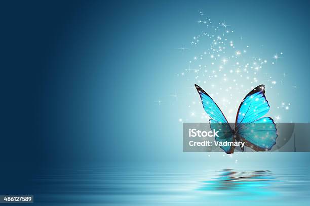 Butterfly Stock Photo - Download Image Now - Butterfly - Insect, Blue, Outer Space