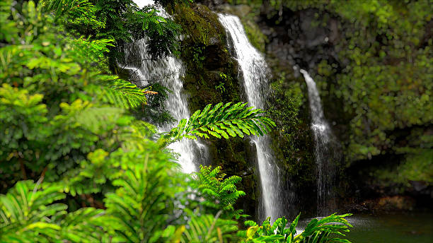 tige chutes de waikani le long de la route vers hana maui - three bears falls photos et images de collection