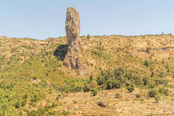 istock Landscape in Ethiopia 486131958