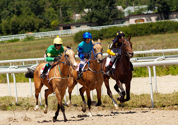 course de chevaux - horse horse racing animal head horseracing track photos et images de collection