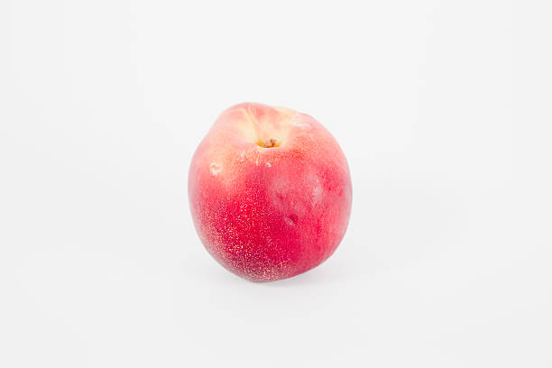 Nectarine isolé sur blanc - Photo