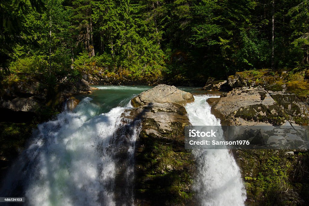 Mt. Baker Forest Falls Northern Washington Cascade Range. Horizontal Stock Photo