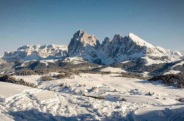 istock Sassolungo and Sassopiatto 486134227
