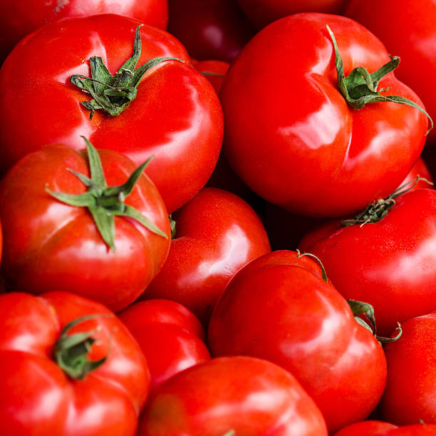 istock Group of fresh tomatoes background. Ripe red tomato 486134269