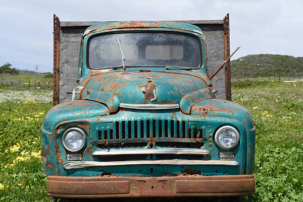 Abandoned old rusty truck, parked in field where spring flowers are in bloom.