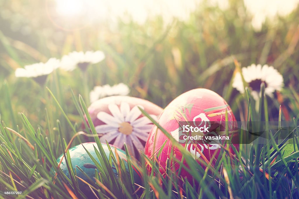 easter eggs and daisies in the grass easter eggs and daisies in the grass, retro style Animal Markings Stock Photo