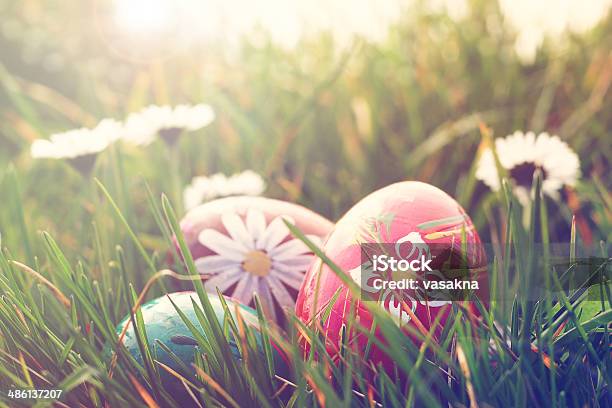 Easter Eggs And Daisies In The Grass Stock Photo - Download Image Now - Animal Markings, Art And Craft, Backgrounds