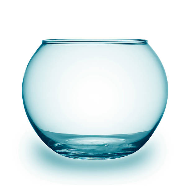 istock Close up view of fish bowl isolated on white 486138101
