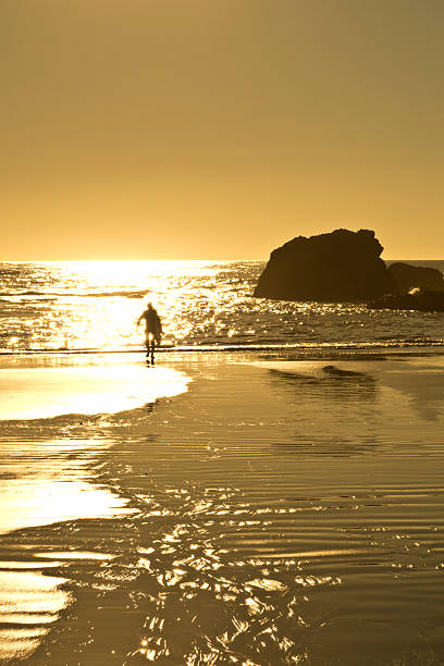 istock End of surfing day 486138520