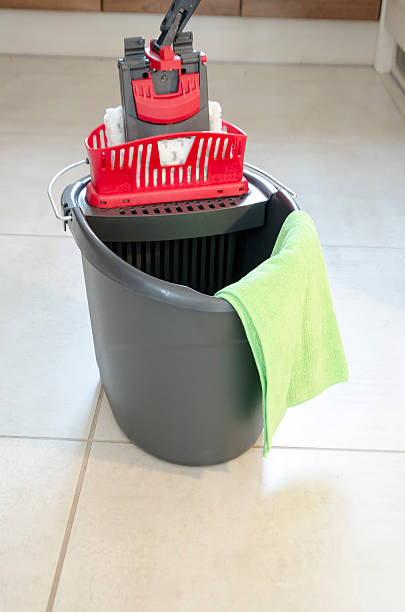 istock Daily house cleaning 486138854