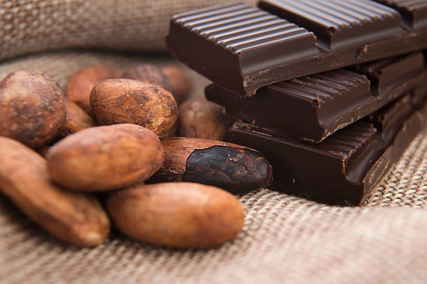 istock Cacao beans with milk chocolate 486138969