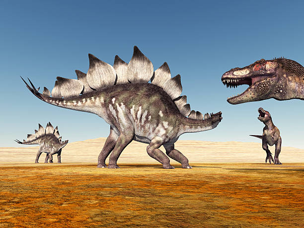 istock Stegosaurus and Tyrannosaurus Rex 486139103