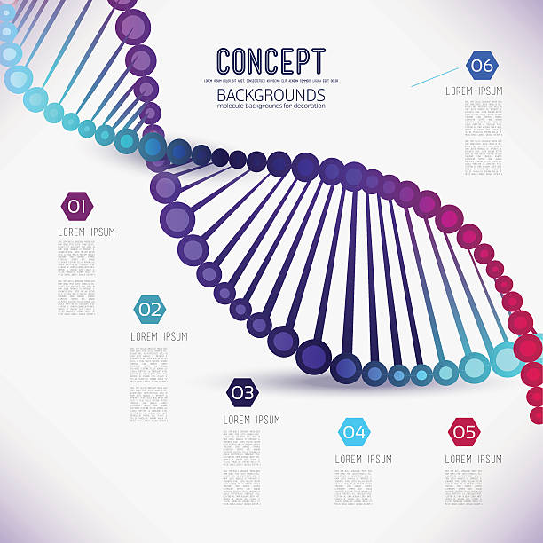 abstrakte geometrische elemente aus dna - dna helix helix model evolution stock-grafiken, -clipart, -cartoons und -symbole