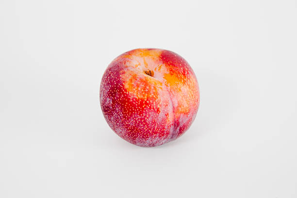 Prune rouge, isolé sur blanc - Photo