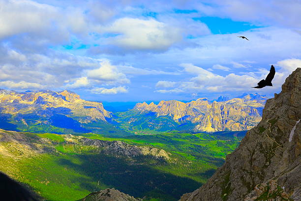 istock Freedom: Eagles Flying over Dolomites, Sudtirol at sunrise 486140664