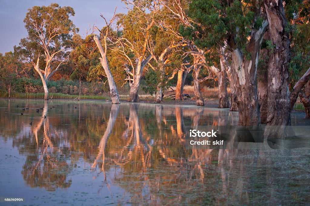 Morning Paradise Sunrise landscape, Outback Australia Australia Stock Photo