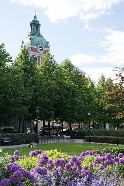 istock Stockholm, Sweden 486143460