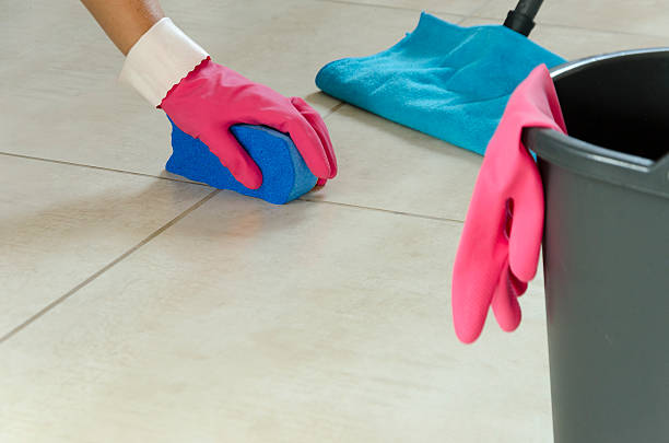 istock Daily house cleaning 486143912