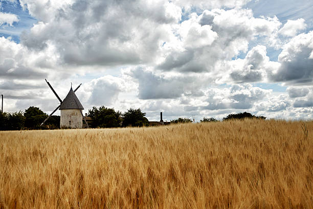 istock Old windmill in rural France 486144880