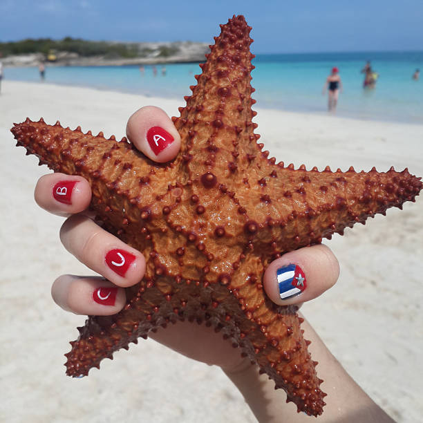 Beach nail art and sea star