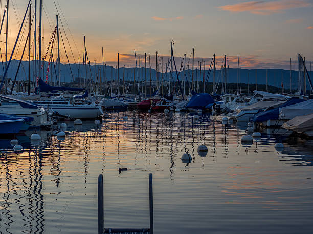 istock Sunset on the marina with a duck 486148834