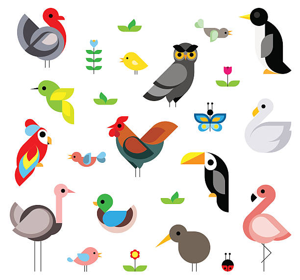 Birds Set of flat vector birds composed of simple geometric shape toucan white background stock illustrations