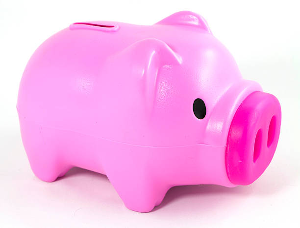 istock Coin into piggy pink pig on white background 486150612