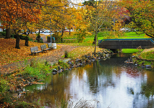 Rain in autumn city park