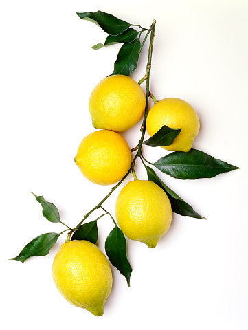 Bunch of Lemons with leaves on white