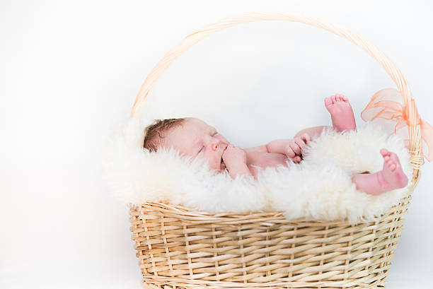 istock Happy newborn Baby in Basket 486161944