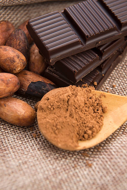 istock Cacao beans with milk chocolate 486163101
