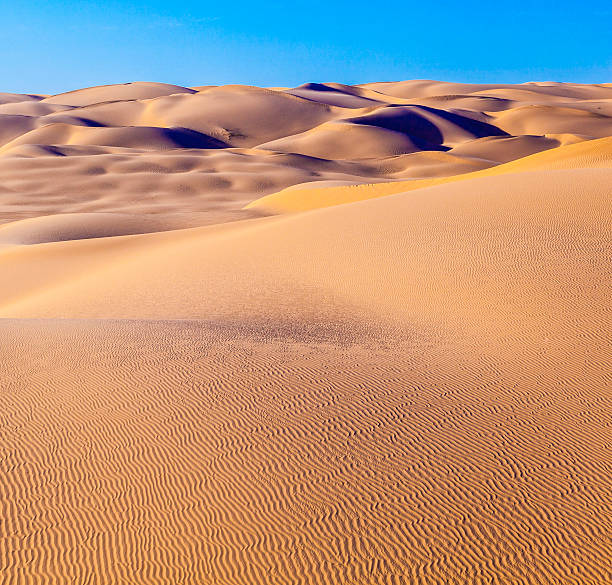 istock sand dune in sunrise in the desert 486164419