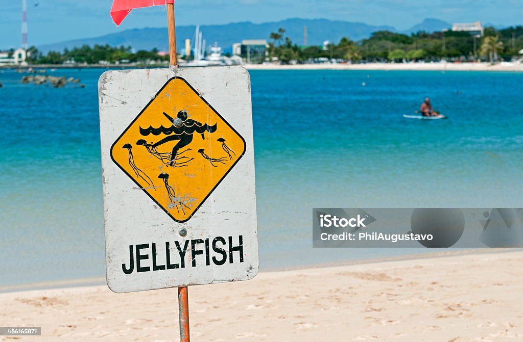 Schild am Strand Warnung Schwimmer Qualle in Oahu - Lizenzfrei Auf dem Wasser treiben Stock-Foto