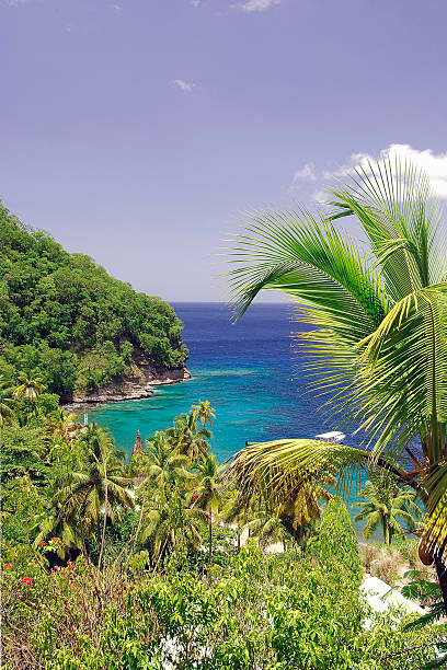istock The Caribbean Sea 486166475