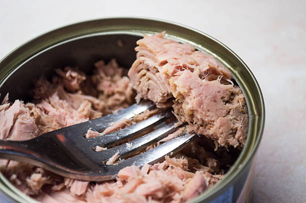 Tunafish in a Can With a Fork Some canned tuna, a very healthy addition to any diet. A fork is being used to pick up some tuna chunks. preserved food stock pictures, royalty-free photos & images