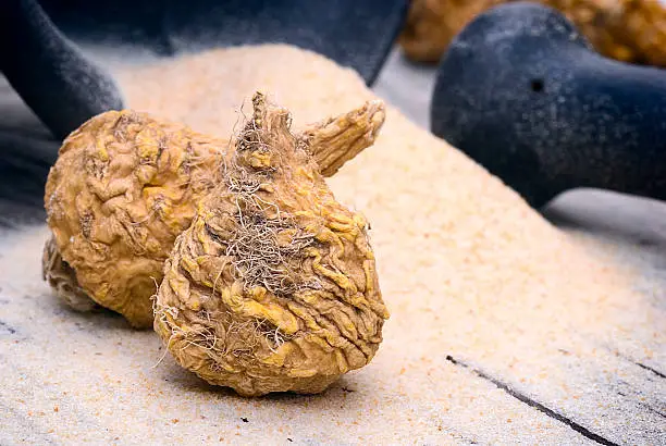 Peruvian ginseng or maca (Lepidium meyenii), dried root and  powder on wooden table