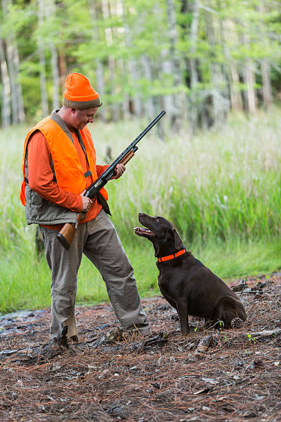 istock Hunter with shotgun and hunting dog 486168544