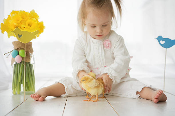 kleines mädchen mit down-syndrom spielt mit gelbe hühner - baby chicken eggs young bird easter stock-fotos und bilder