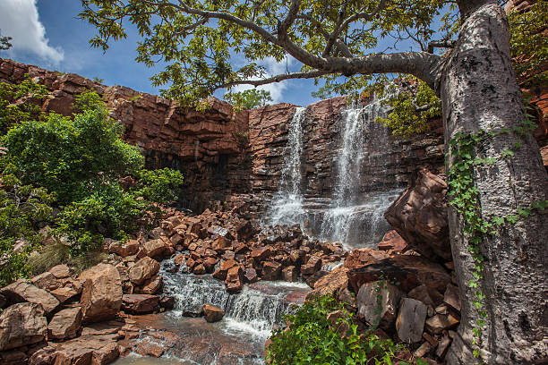 Australian Paradise The Grotto waterfall and baobab, near Wyndham, Kimberley region, Western Australia kimberley plain photos stock pictures, royalty-free photos & images