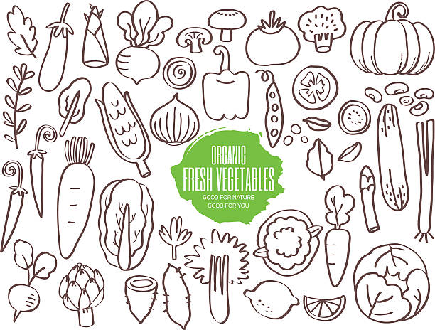 Set of vegetables doodles Set of hand drawn vegetables doodles carrot symbol food broccoli stock illustrations